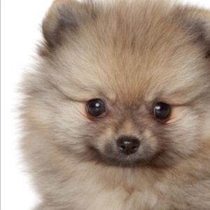 Meet your Posher, Kruthi